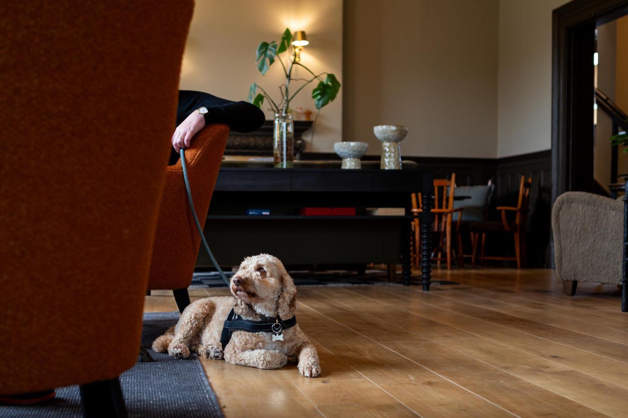 New Park Manor Hotel - A Luxury Family Hotel 브로큰허스트 외부 사진